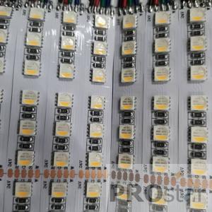5050-96-12MM  4in1   24V